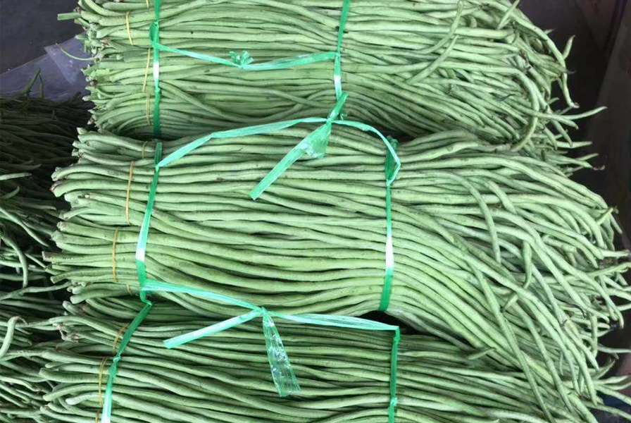 龙岩蔬菜配送中心