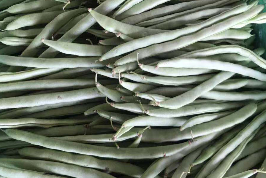 龙岩农产品配送