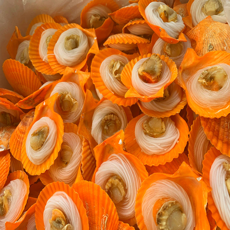 肇庆粉丝扇贝供应商