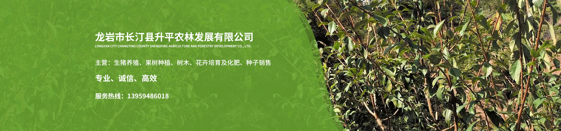 龙岩市长汀县升平农林发展有限公司