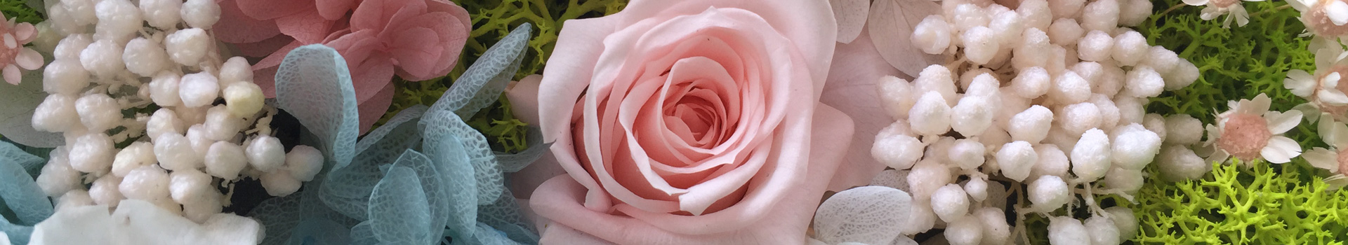 漳州市花之韵农业科技有限公司