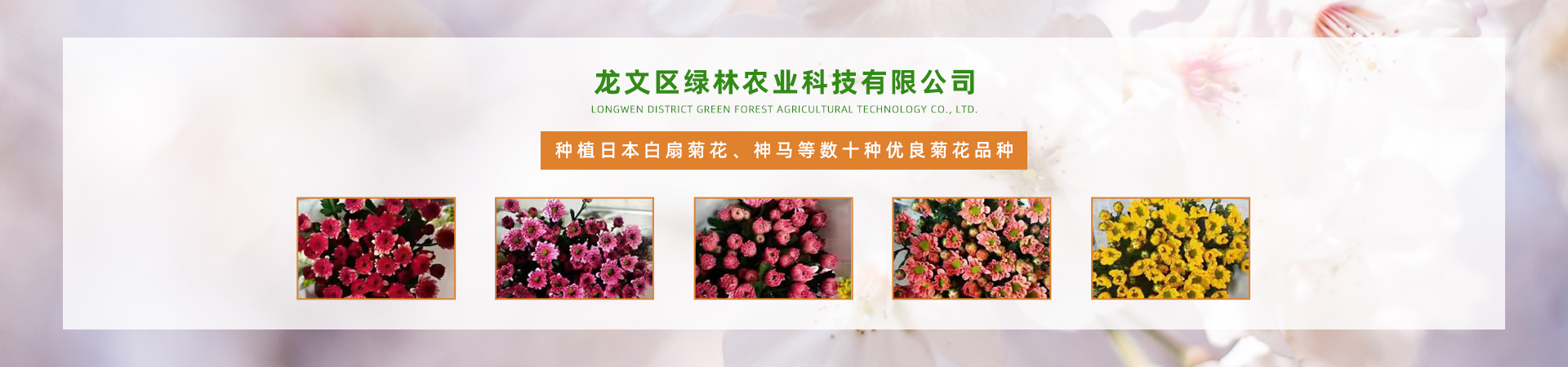 漳州市花之韵农业科技有限公司