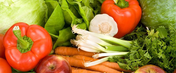 公司简介-新罗区鑫丰农副产品经营部