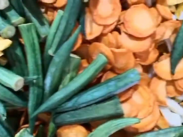 真空油炸食品加工设备