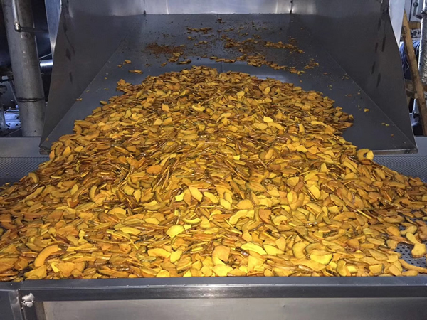 真空油炸食品加工设备