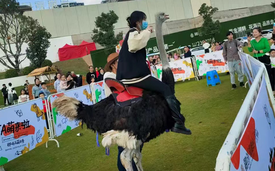 合作式动物展览