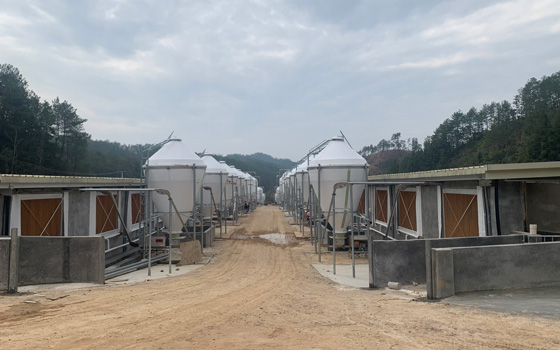 饲料自动化输送设备