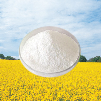 福建优良的植物甾醇厂家