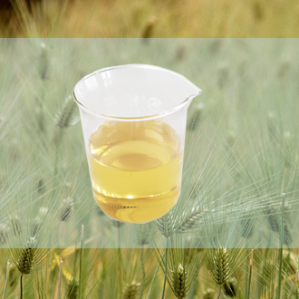 福州质量好的脂肪酸甲酯多少钱