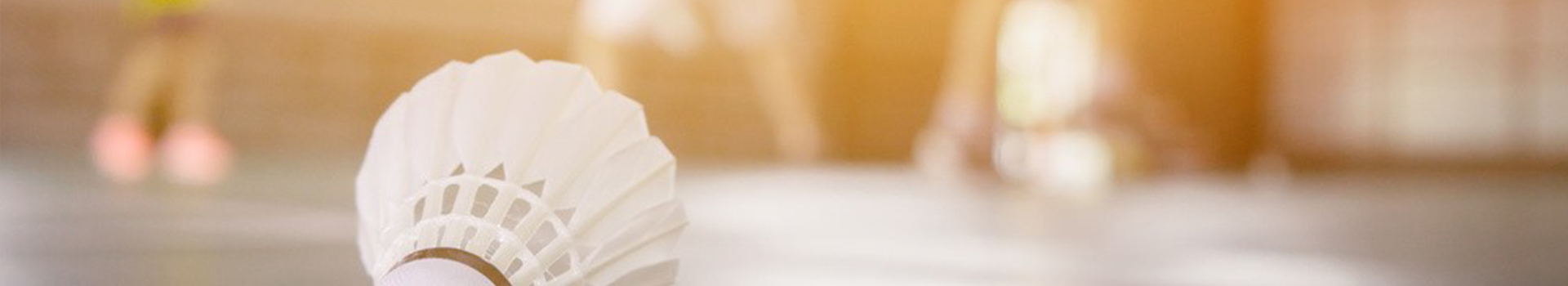 龙岩市羽动飞杨体育发展有限公司